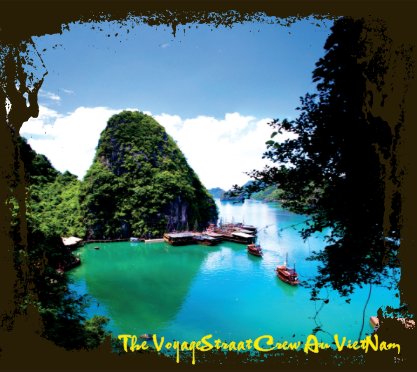 Vietnam 2010 book cover