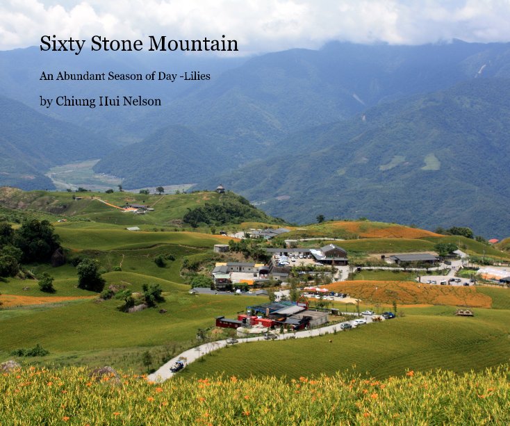View Sixty Stone Mountain by Chiung Hui Nelson