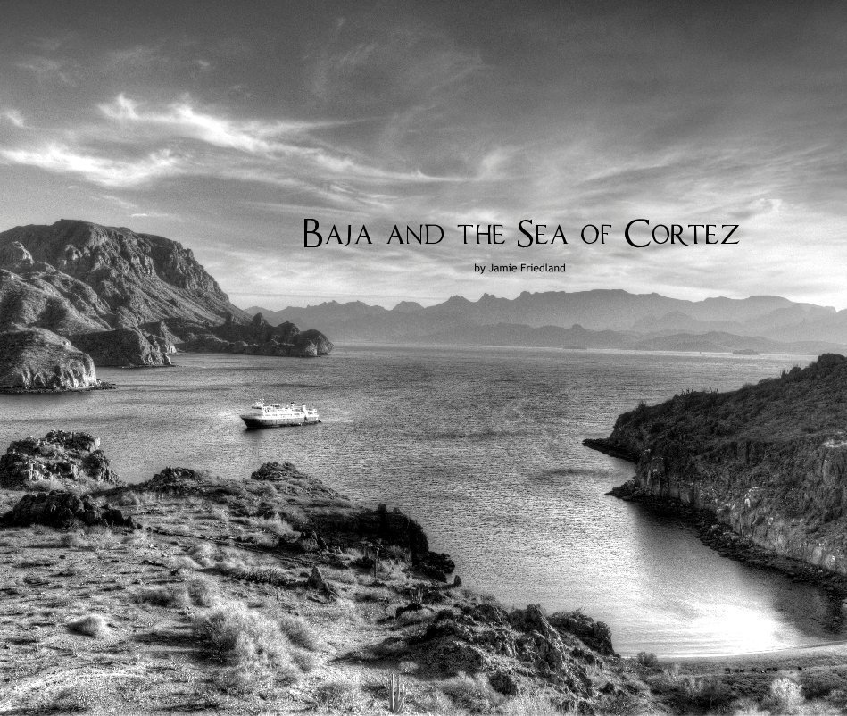 View Baja and the Sea of Cortez by Jamie Friedland