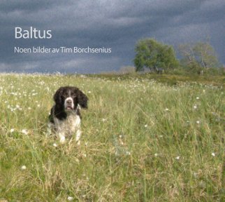 Baltus book cover