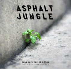 Asphalt Jungle book cover