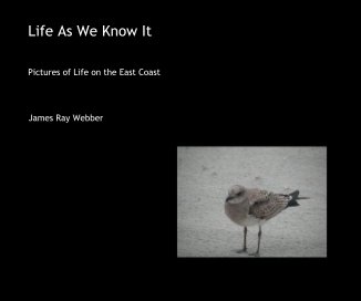 Life As We Know It book cover