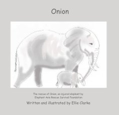 Onion book cover