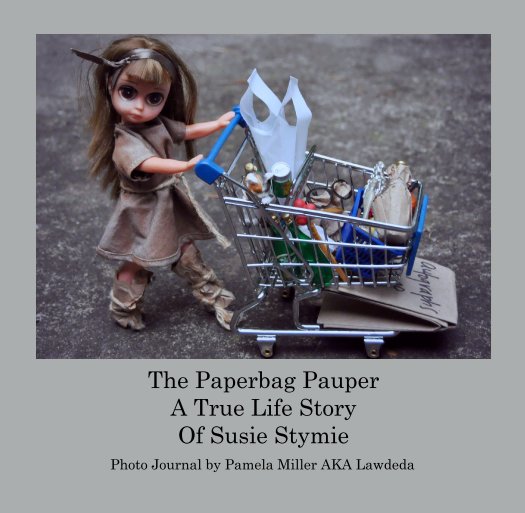 View The Paperbag Pauper by Photo Journal by Pamela Miller AKA Lawdeda