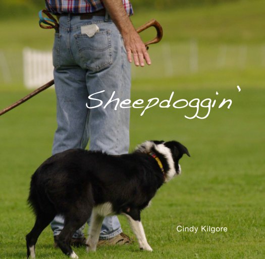 View Sheepdoggin' by Cindy Kilgore