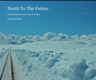 North To The Future book cover