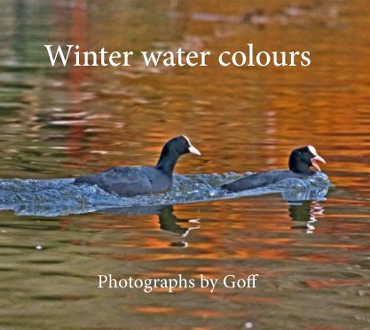 Winter Water Colours book cover