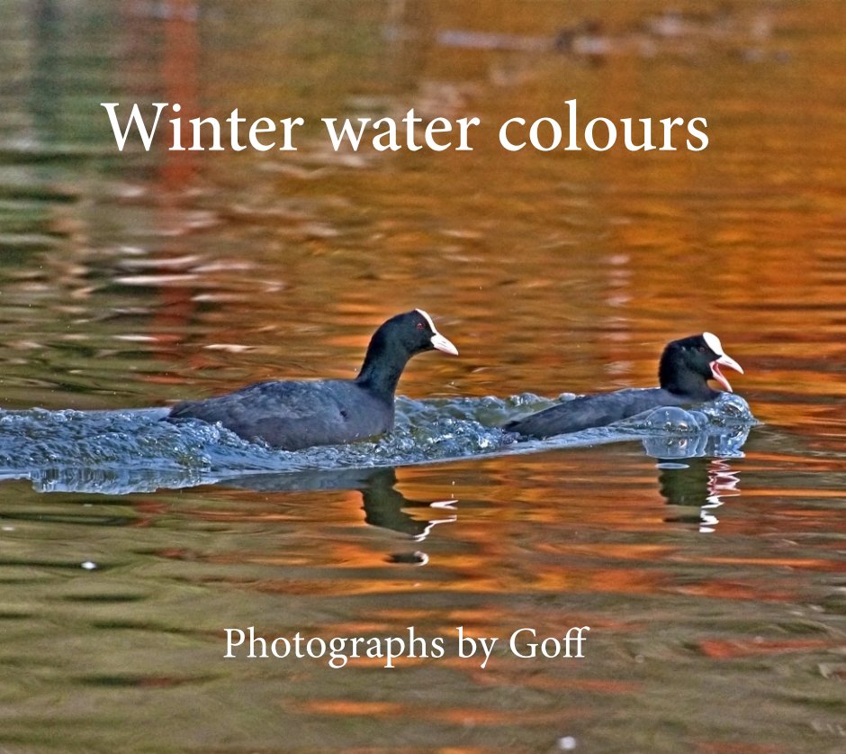 View Winter Water Colours by Goff