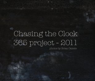 365 project book cover