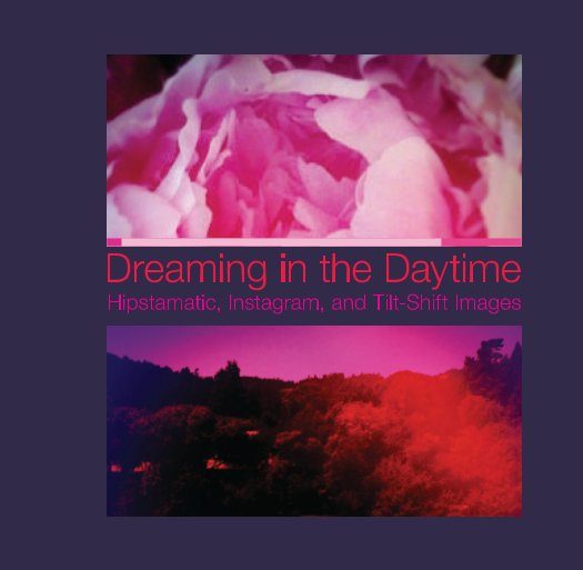 View Dreaming in the Daytime by Martin Magee