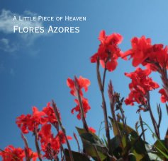 Flores Azores book cover