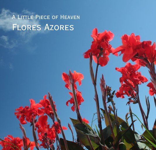 Bekijk Flores Azores op Diane G. Lind