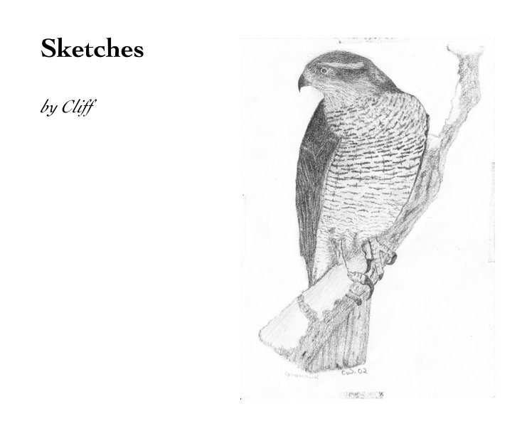 Bekijk Sketches op Cliff
