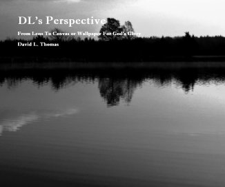 DL's Perspective book cover