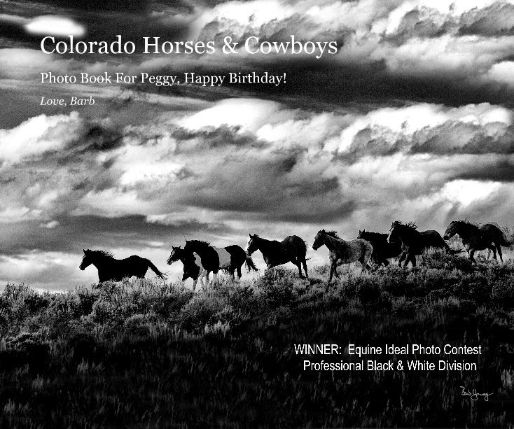 Ver Colorado Working Horse Ranch por Barb Young Photography
BarbYoungPhotography.com