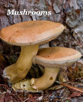 Mushrooms book cover