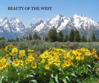 BEAUTY OF THE WEST book cover