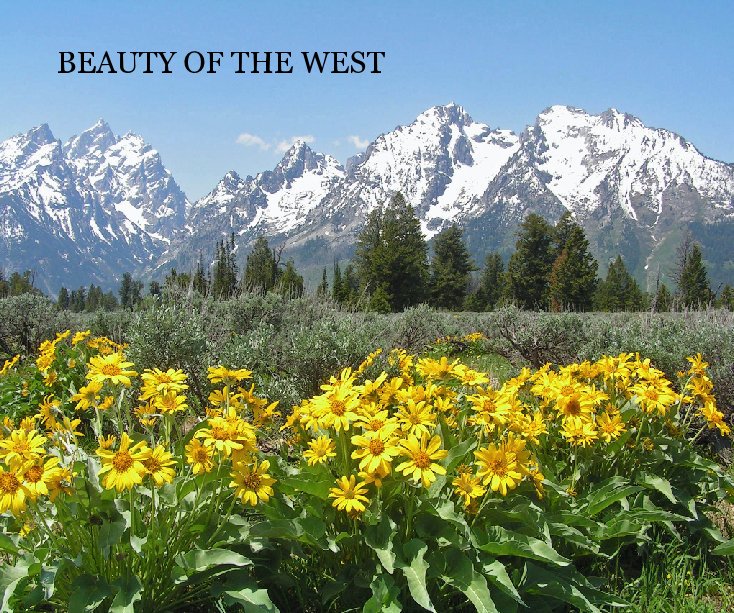 View BEAUTY OF THE WEST by BEVERLEY ROEHR