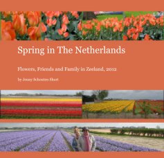 Spring in The Netherlands book cover