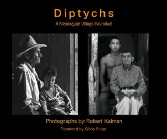 Diptychs book cover