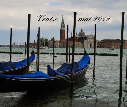 Venise mai 2012 book cover