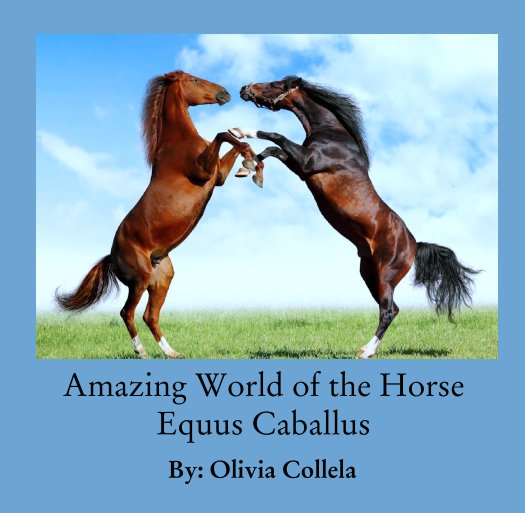 View Amazing World of the Horse
Equus Caballus by By: Olivia Collela