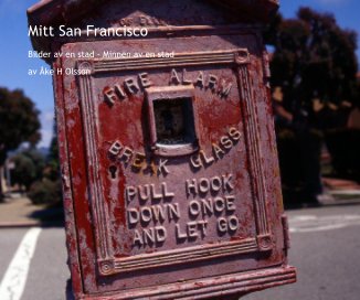 Mitt San Francisco book cover