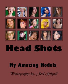 Head Shots book cover