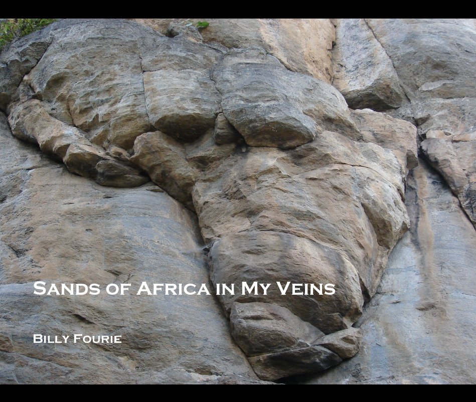 View Sands of Africa in My Veins by William Fourie