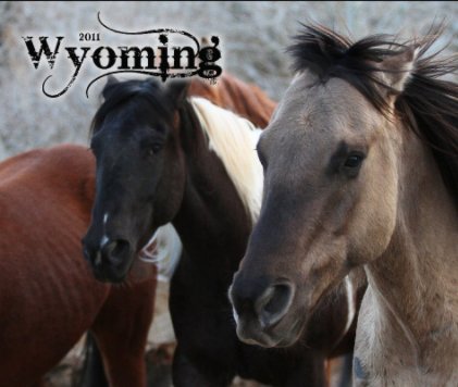 Wyoming 2011 book cover