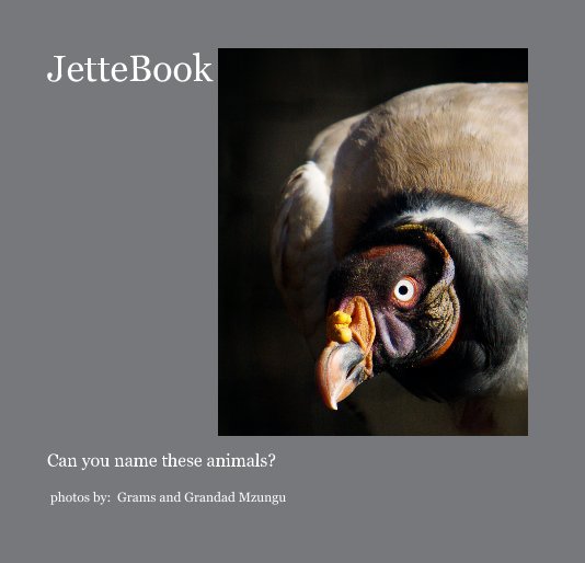 Ver JetteBook por photos by: Grams and Grandad Mzungu
