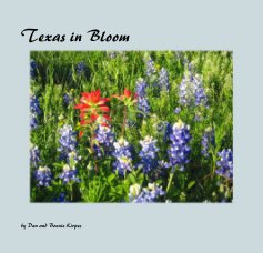 Texas in Bloom book cover