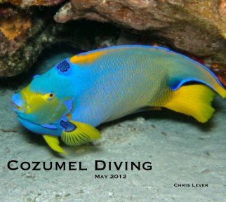 Cozumel Diving book cover