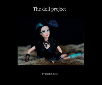 The doll project book cover