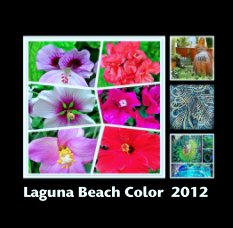 Laguna Beach Color  2012 book cover