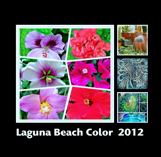 View Laguna Beach Color  2012 by Craig  de Pfyffer
