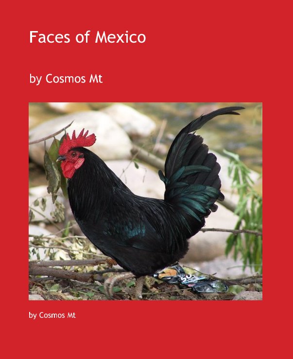 Visualizza Faces of Mexico di Cosmos Mt