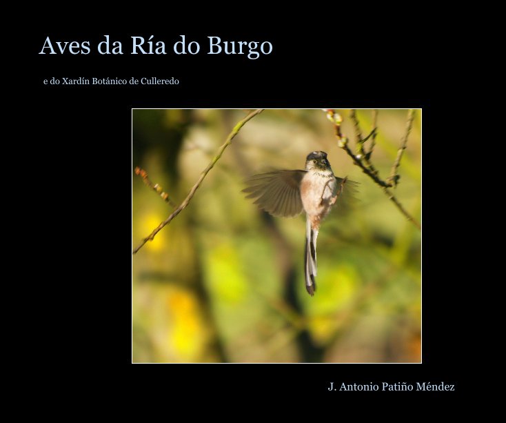 Ver Aves da Ría do Burgo por Juan Antonio Patiño Méndez