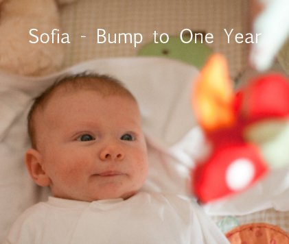 Sofia - Bump to One Year book cover