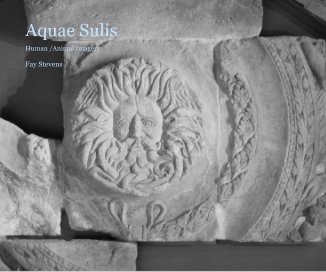 Aquae Sulis book cover