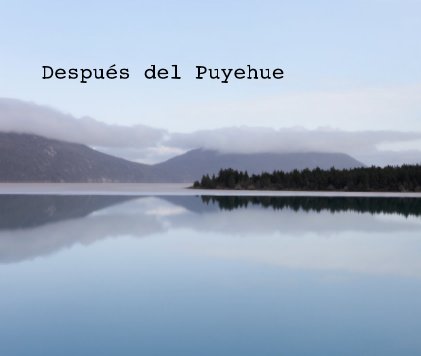 Después del Puyehue book cover