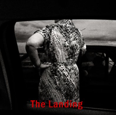 The Landing book cover