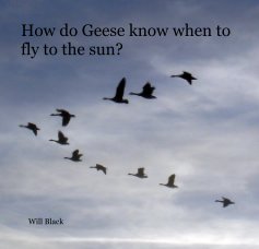 How do Geese know when to fly to the sun? book cover