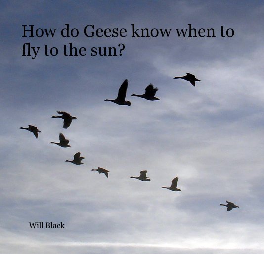 View How do Geese know when to fly to the sun? by Will Black
