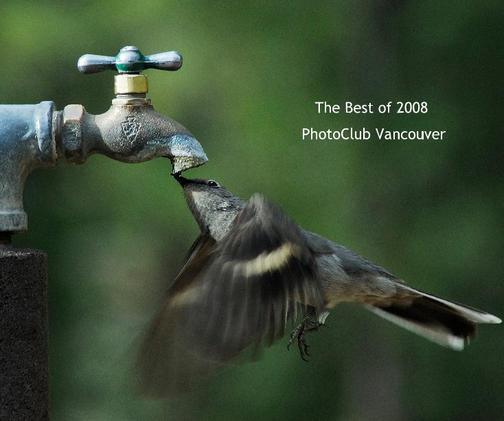 View The Best of 2008 PhotoClub Vancouver by dougmatthews