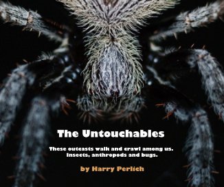 The Untouchables book cover