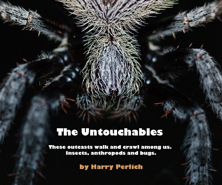 Ver The Untouchables por Harry Perlich