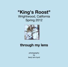 "King's Roost"
Wrightwood, California
Spring 2012 book cover