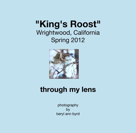 "King's Roost"
Wrightwood, California
Spring 2012 nach beryl ann byrd anzeigen