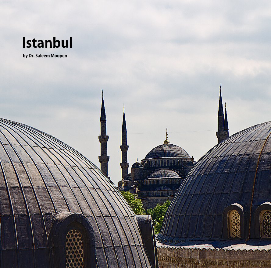 Ver Istanbul por Dr.Saleem Moopen